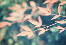 欧国联比赛胜方策略分析关键在哪