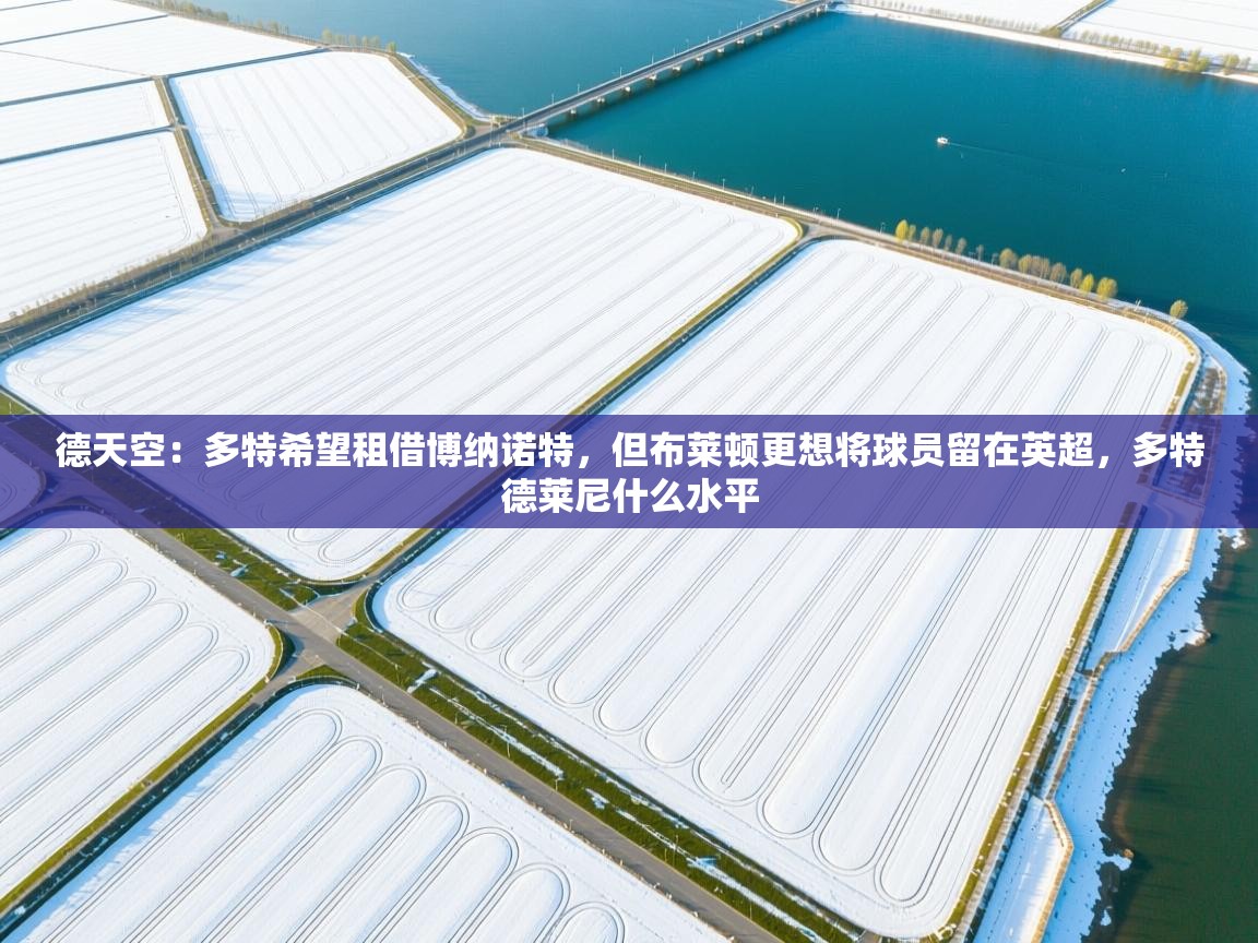 德天空:多特希望租借博纳诺特,但布莱顿更想将球员留在英超,多特德莱尼什么水平 第1张