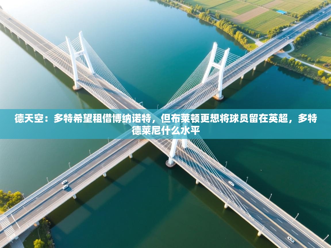 德天空:多特希望租借博纳诺特,但布莱顿更想将球员留在英超,多特德莱尼什么水平 第2张